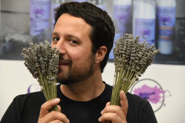 CAL MARGARIT Toda una empresa que gira en torno al cultivo ecológico de la lavanda