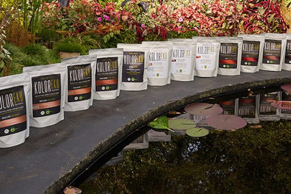 KOLOREKO SYSTEM/Ramón Izco: «Contamos con el certificado Eco Plus-Vegan de BioVidaSana con sello Bio Inspecta”